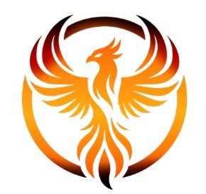 Phoenix digi marketing logo